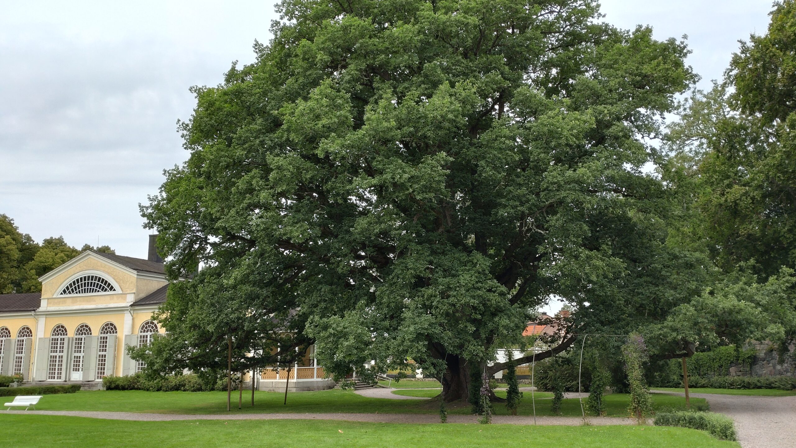 Seko Örbyhus & Österbybruk – 2024