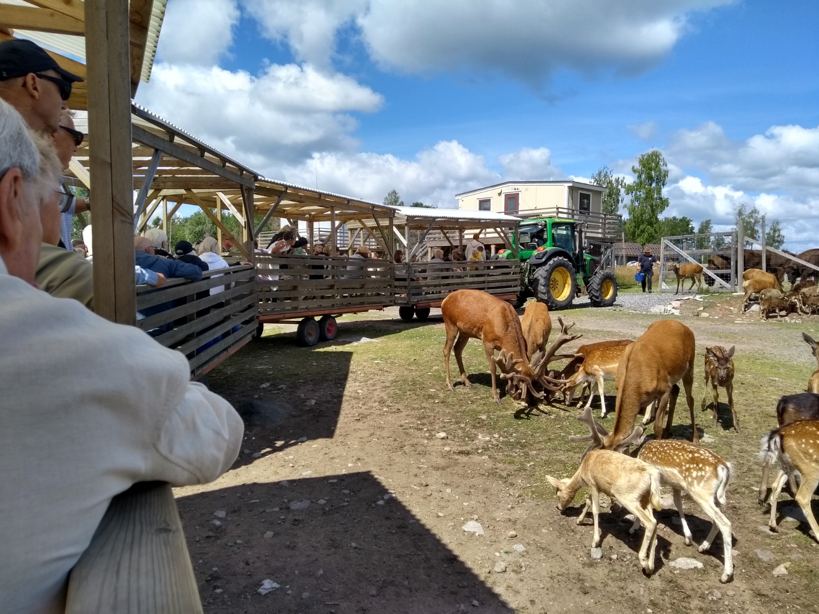 Viltsafari & Räkfrossa-Samtorps Gård – 2023