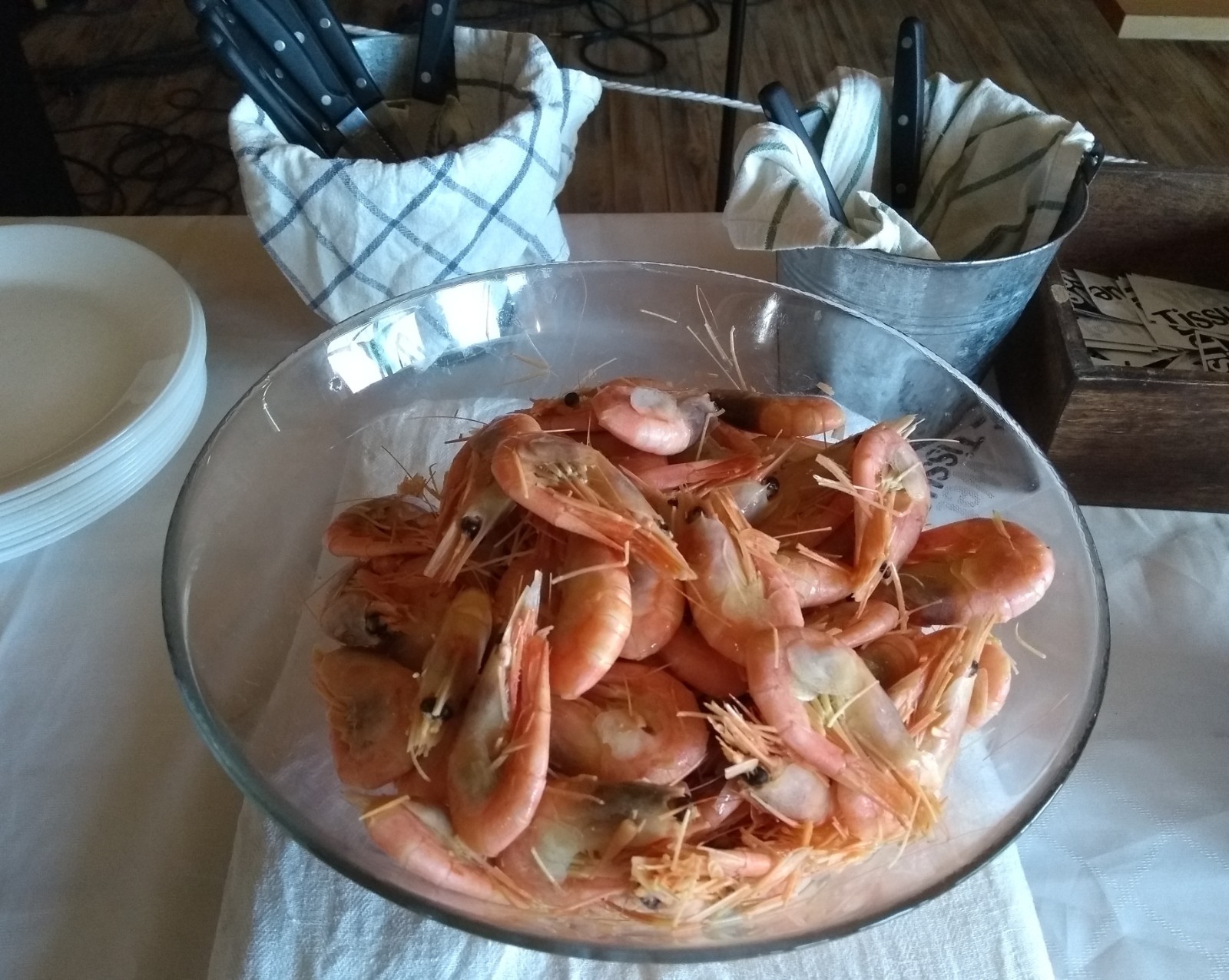 Viltsafari & Räkfrossa-Samtorps Gård – 2023