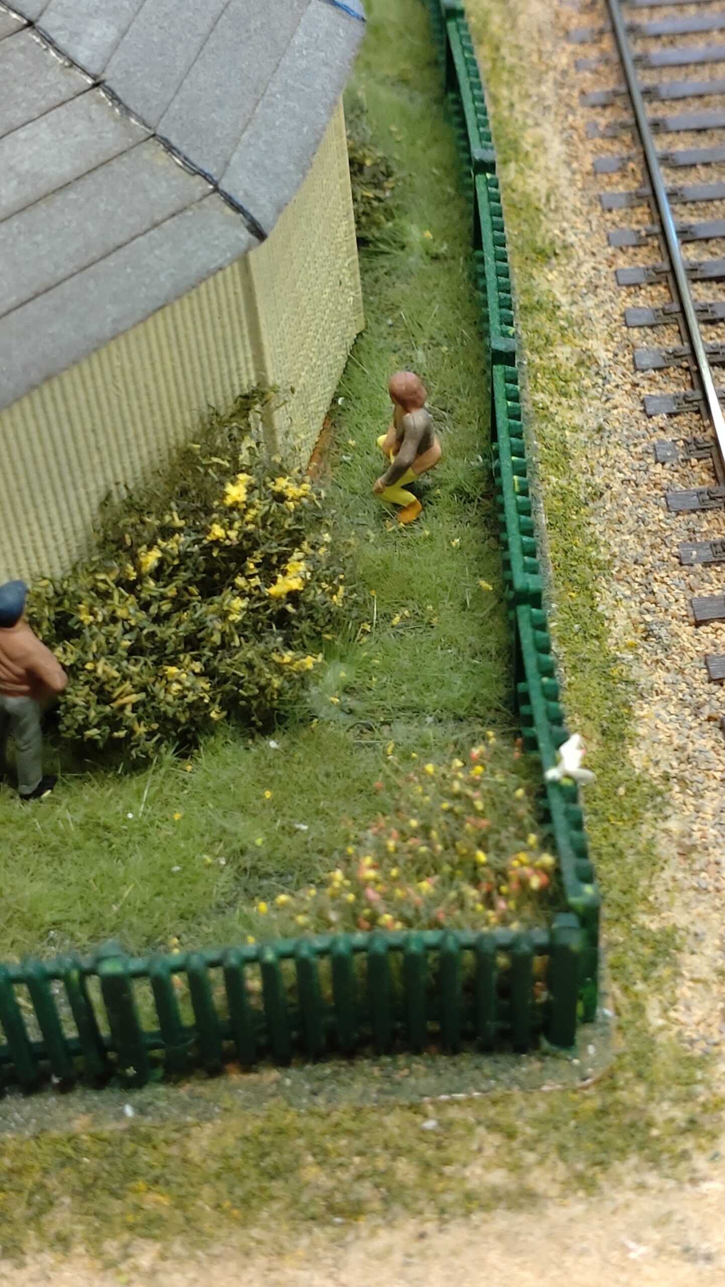 Kungsör & E-tuna – 2024