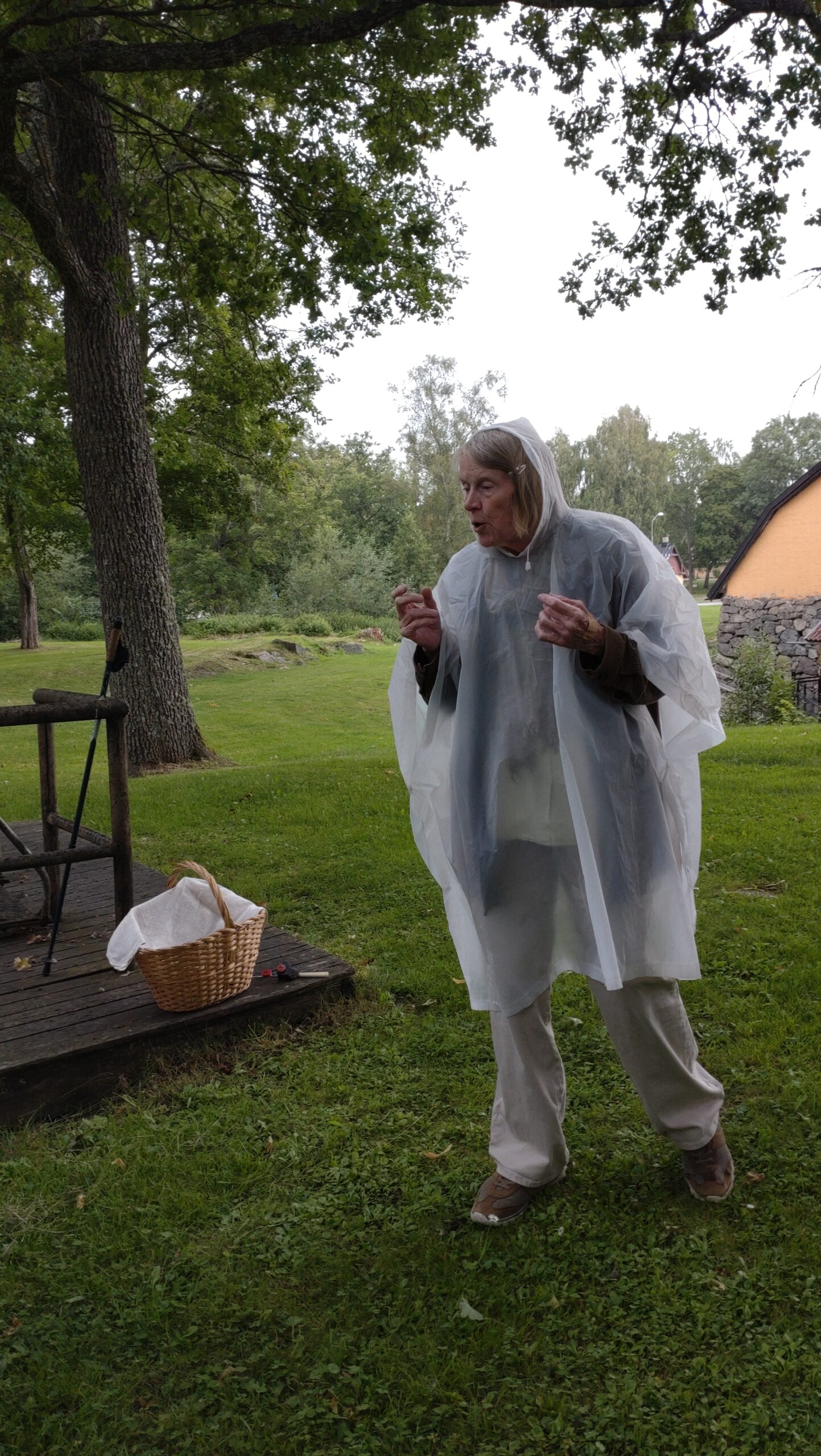 Seko Örbyhus & Österbybruk – 2024