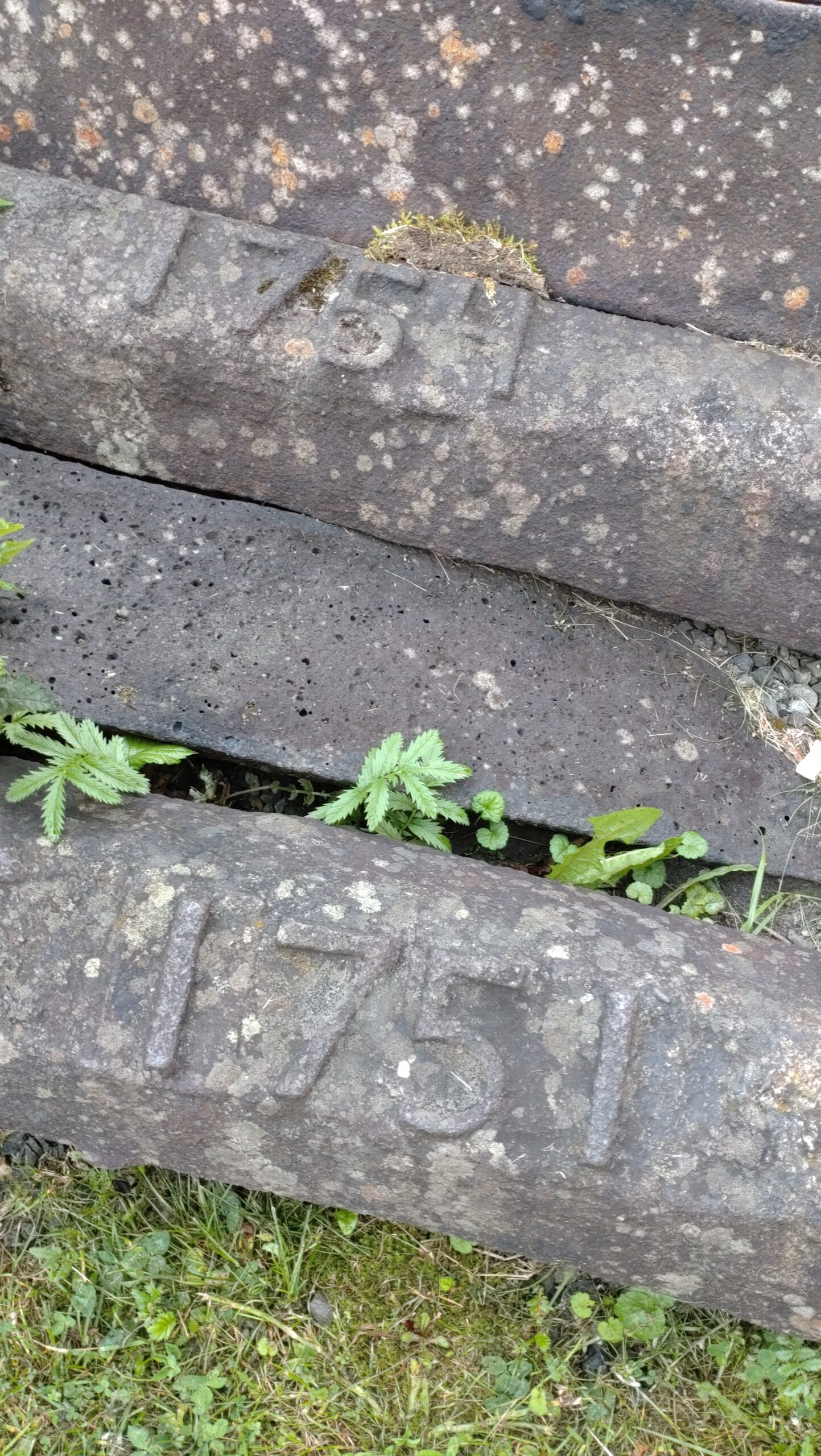 Seko Örbyhus & Österbybruk – 2024