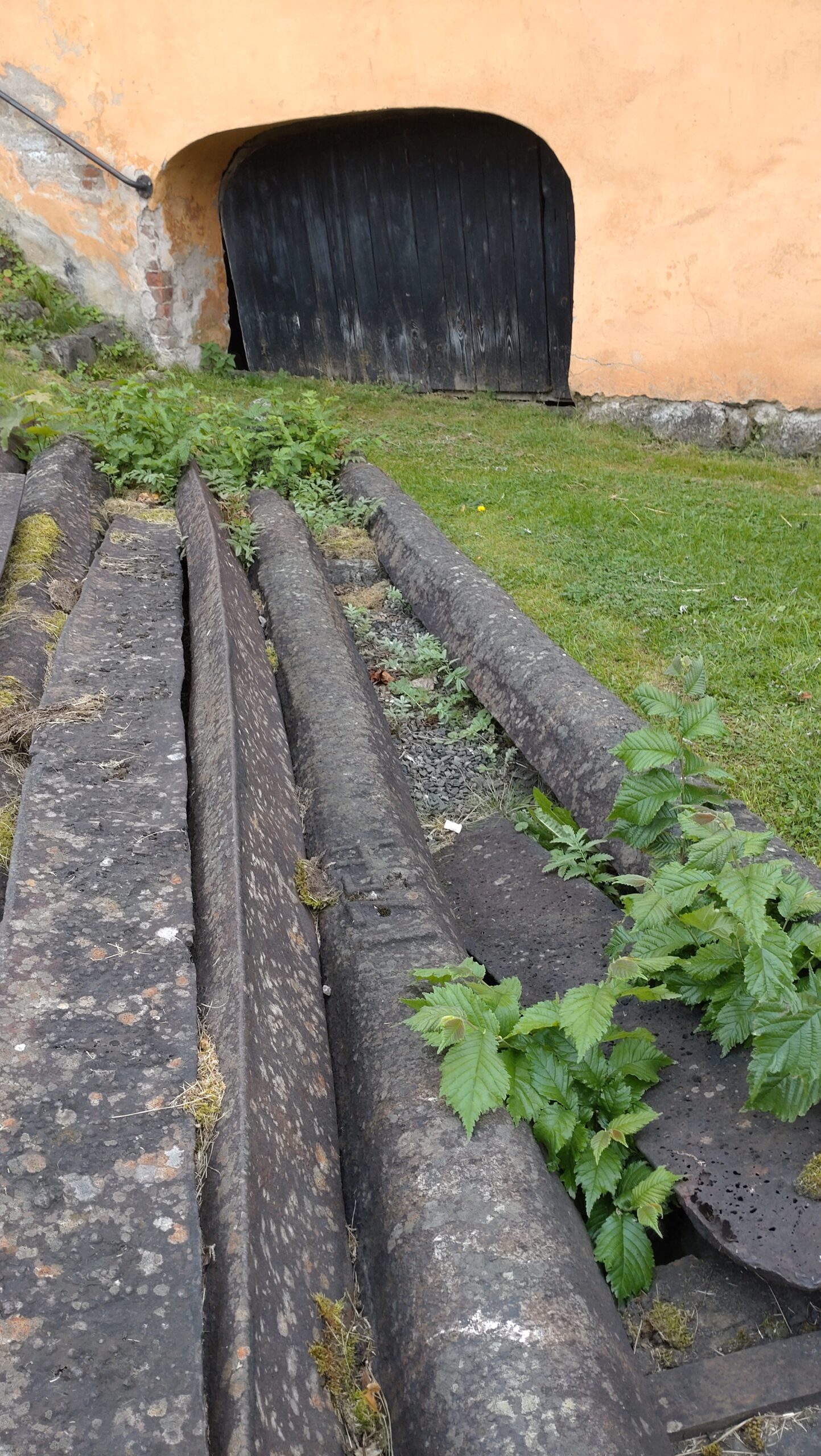 Seko Örbyhus & Österbybruk – 2024