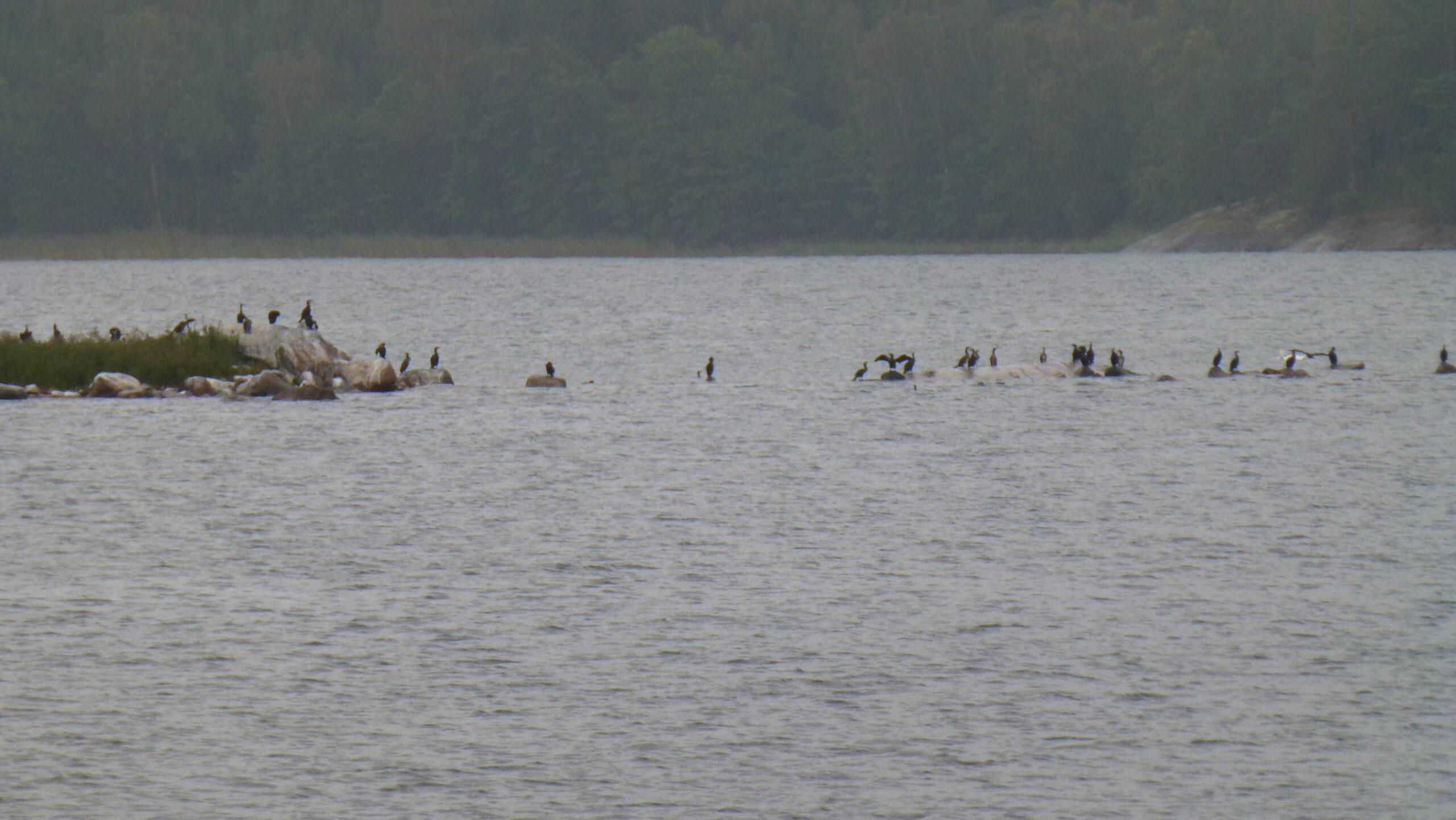 Roslagsrundan – 2018