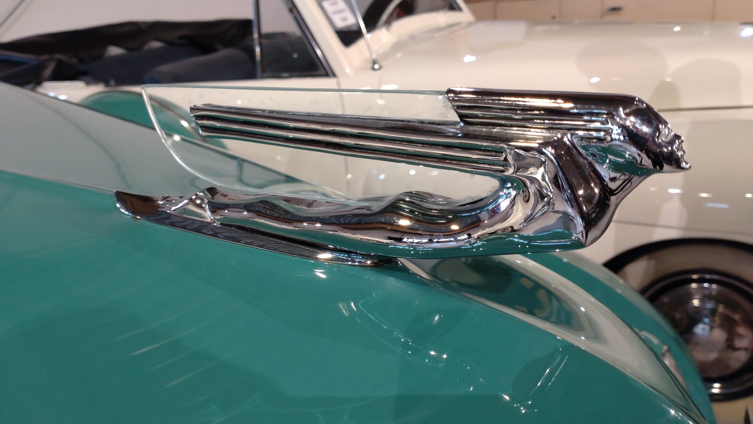 Höga Kusten – 2025