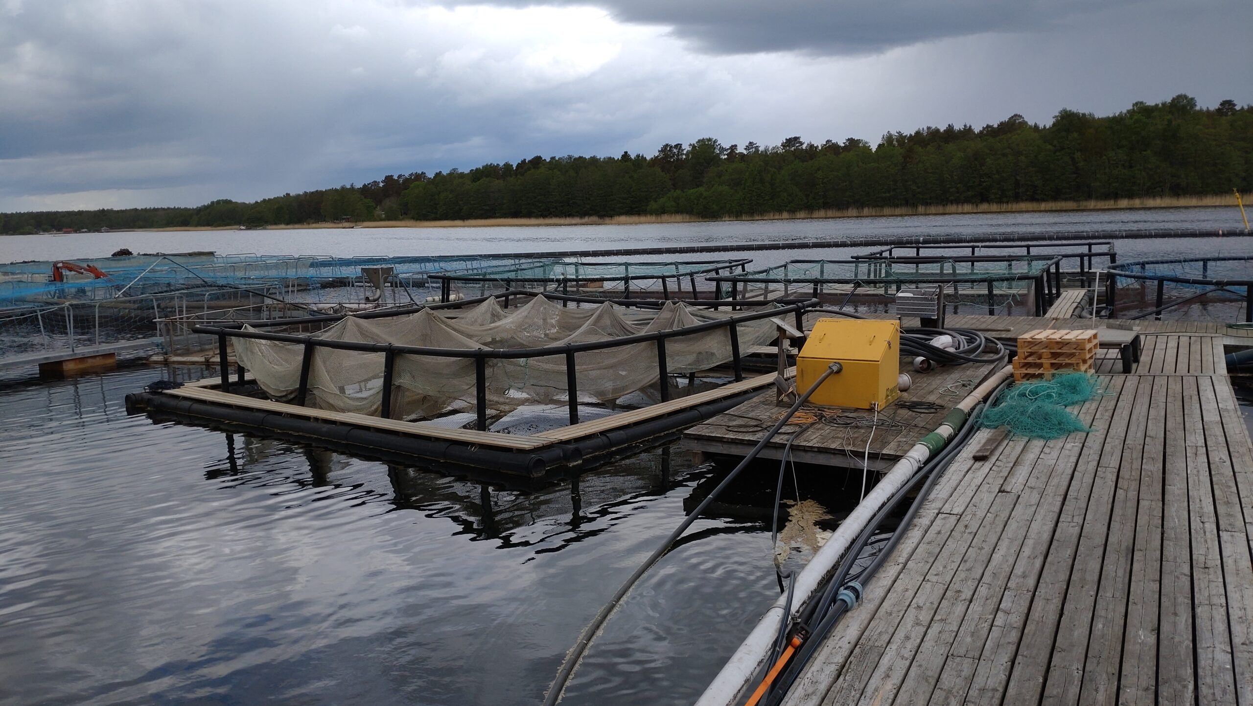 Smakfull utflykt till Roslagen – en dag för livsnjutare – 2026